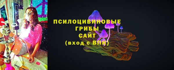 молекула духа Алзамай