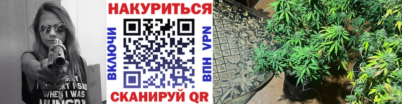 сайты даркнета официальный сайт  Котельнич  Каннабис сатива 